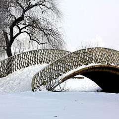 photo "Arching over snow"