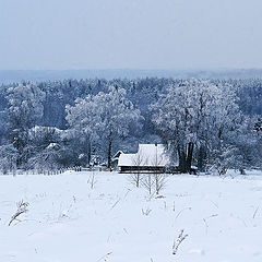 photo "Blue Morning"