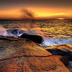 photo "Winterlight by the Coast"