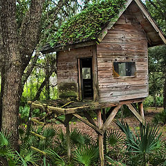 photo "A playhouse outgrown and forgotten."