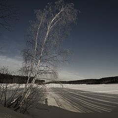 фото "Портрет на фоне зимы..."