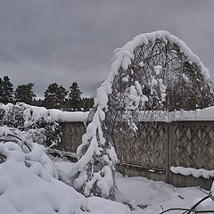 фото "Карусель для снега"
