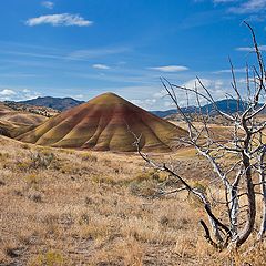 photo "Desert..."