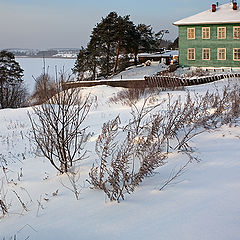 photo "Morning on January, 7"