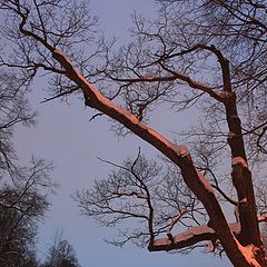 фото "огненный снег"