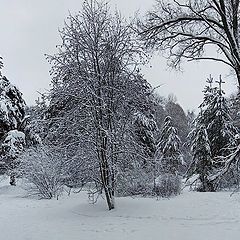 фото "зимняя панорама"
