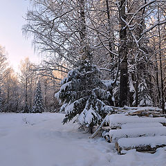 photo "***"