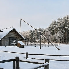 фото ""Журавль""