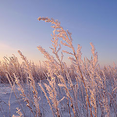 фото "Рассвет"