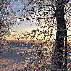 фото "Утро"