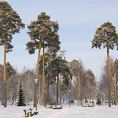 фото "В зимнем парке"