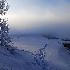 фото "Затуманило."