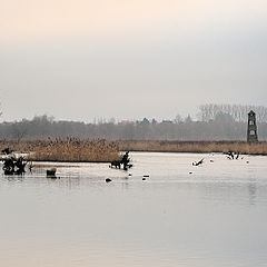 фото "Het Vinne Zoutleeuw"