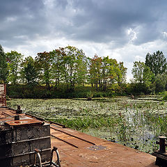 фото "Приплыли"