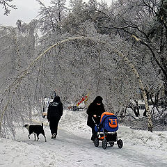 photo "Импровизированная арка"