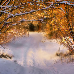 photo "Winter fairy tale"