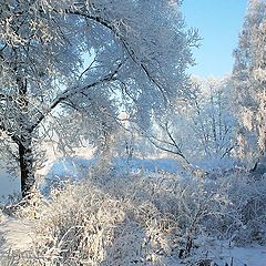 фото "Ласки света"