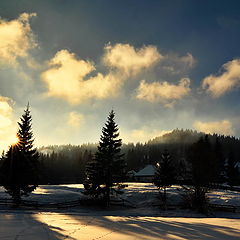 photo "Shadows & Lights"