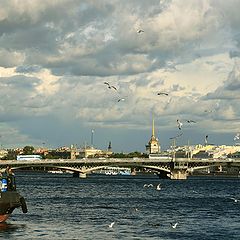 фото "Солнечный день"