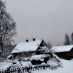 фото "Тишина"