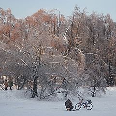 фото "На пруду."