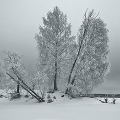 фото "Холодная январская"