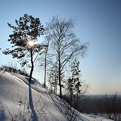 фото "Морозный день"