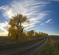 фото "Осень В Квадрате"