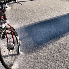 photo "The alien´s shadow"