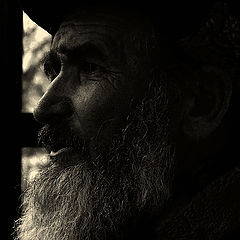 photo "***"
