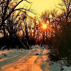 photo "***"
