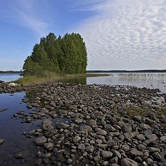 фото "Притяжение"