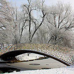 photo "Landscape with footbridge"