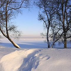 фото "зимний петергоф"