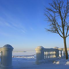 фото "зимний петергоф"