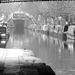 фото "Regent's Canal"