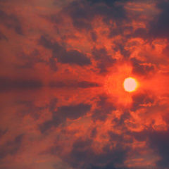 photo "The dying sun"