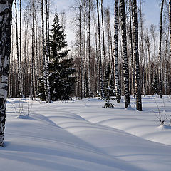 фото "Диагонали"