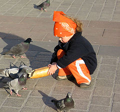 фото "хлеб и зрелище"