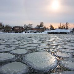 фото "Закованная в панцирь"