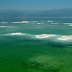 photo "Dead sea"