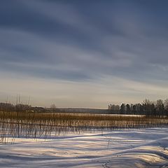 photo "The long winter shadows"