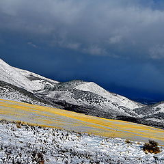 фото "first snow"