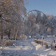 фото "Зимняя тропинка."