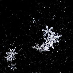фото "Снежинки на стекле машины"
