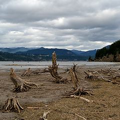 photo "вода ушла ....."