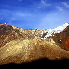 фото "ladakh"