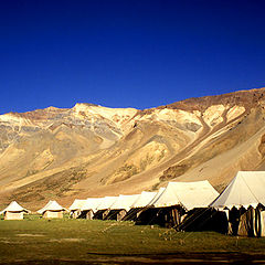 фото "ladakh"