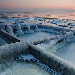 фото "Окоченение"