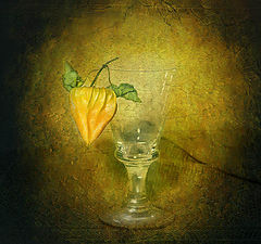 фото "Physalis & Glass"